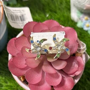 Colorful Pinwheel Earrings